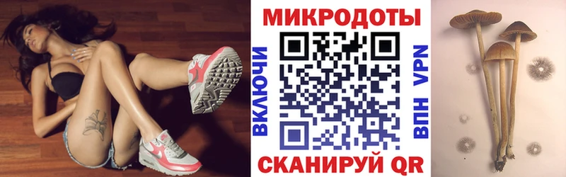 Псилоцибиновые грибы прущие грибы Волгореченск